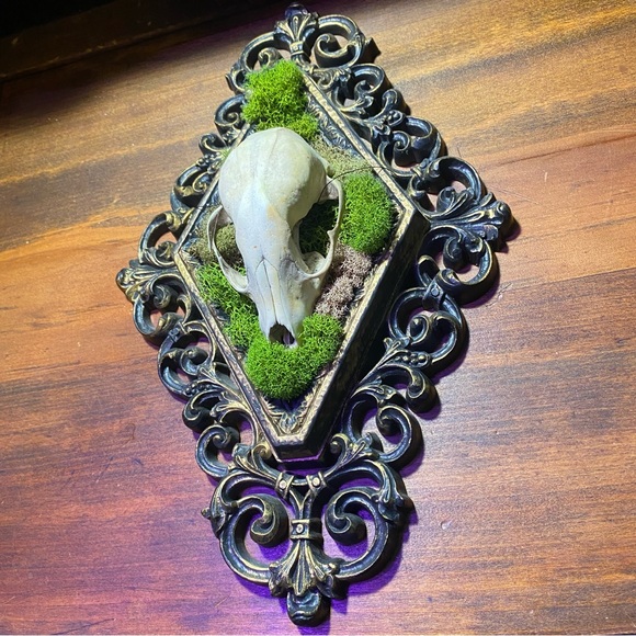 Raccoon Skull Moss Victorian Style Frame Decoration - Picture 5 of 13